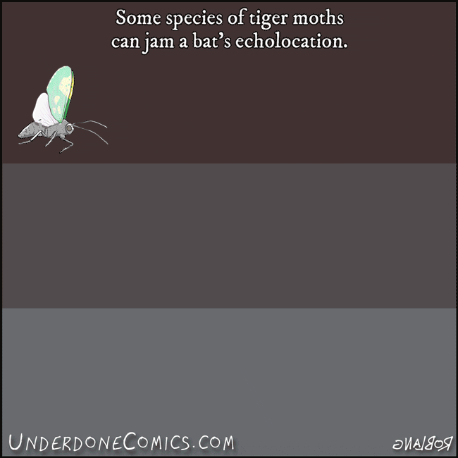 Canjam GIFs Get the best GIF on GIPHY