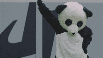 Panda Dance GIFs - Find & Share on GIPHY