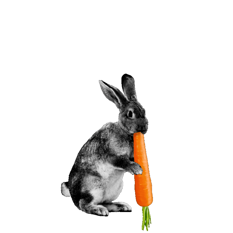 Rabbit Food Cooking Sticker by Sainsbury's for iOS & Android GIPHY