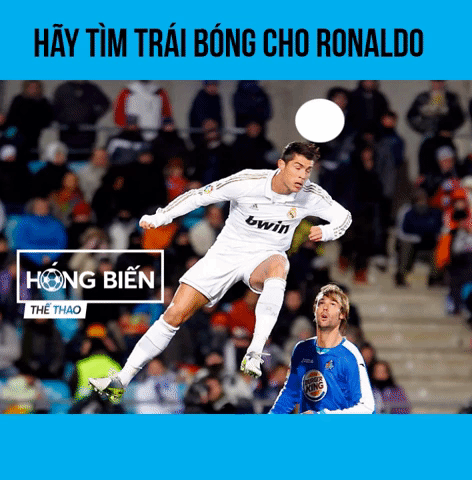 nguyensontung-335b  GIF