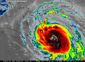 hurricane irma GIF by NASA