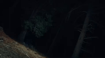200.gif?cid=fc005b086a09f134ebf0a6251cdf3d8e96ed383819ccdb9b&rid=200.gif&ct=g