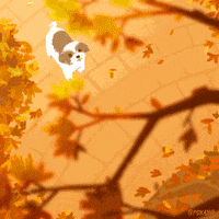 Fall Season Dog GIF by Olivia When