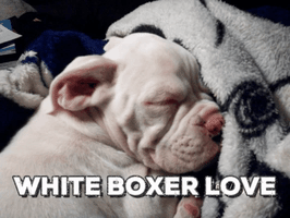 terriehurlburtbrandolini  GIF