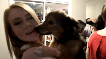 coreyvidal cute dog kiss puppy GIF