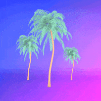 Palm Tree GIF by Last Lauf - Find & Share on GIPHY