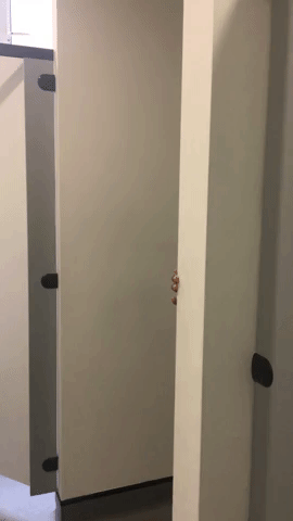 nickmurthwaite melodyhiding melodysurprise GIF