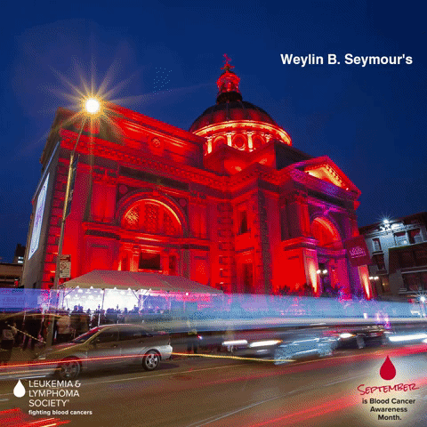 kayrecch BCAM blood cancer awareness month light it red leukemia & lymphoma society GIF