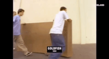200.gif?cid=fc005b0855e41ba9896d2478b4b798f3e9551a01dcd1fdca&rid=200.gif&ct=g