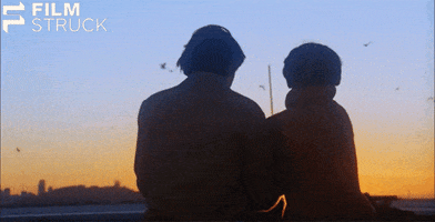 criterion collection sunset GIF by FilmStruck