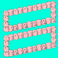 200.gif?cid=fc005b08cb05126e7ea1a1af8110c090faff788f264b3a7b&rid=200.gif&ct=g