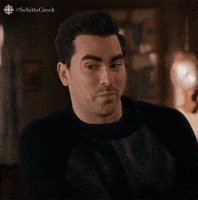 Schitt's Creek gif. Dan Levy as David shakes his head in disappointment and says "I wish I was joking."