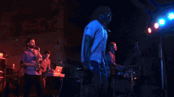ciulea  GIF