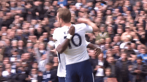 Harry Kane Football GIF - Find & Share on GIPHY