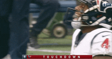 Screaming Houston Texans GIF by NFL