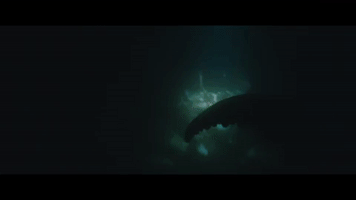 liarsliarsliars body river crab liars GIF