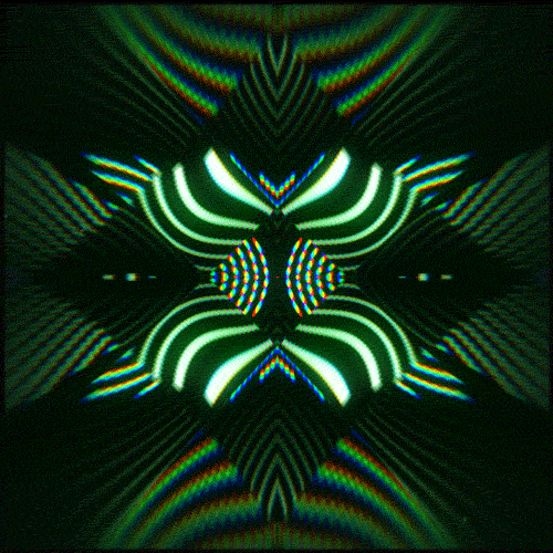 giphy.gif