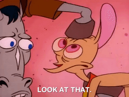 200.gif?cid=fc005b089af1a2ce409b73b0214be81490a737461ca9fae0&rid=200.gif&ct=g