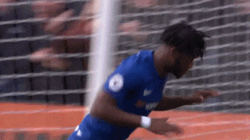 cfc GIF by Chelsea FC