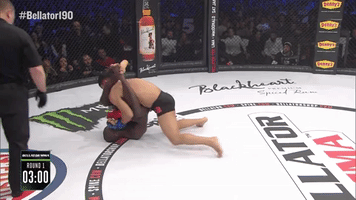 mma submission GIF by Bellator