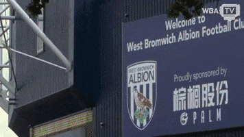 the hawthorns wba GIF by West Bromwich Albion