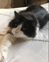 Getting Up Out Of Bed Gifs Get The Best Gif On Giphy Getting Up Out Of Bed Gifs Get The Best Gif On Giphy