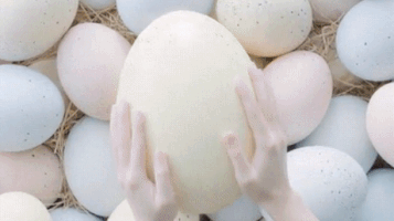 NoOneCaresGifs cat GIF