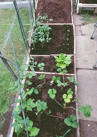 russellfjackson  GIF