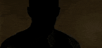 100.gif