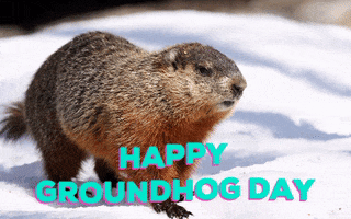 200.gif?cid=f0bdee70vkdp671nsc4268v7qprlodqnqzh0jfht6dlsd4yi&rid=200.gif&ct=g