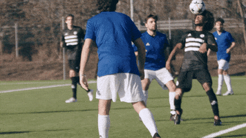 football soccer GIF by adidas