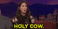 Holy Cow Darcy Carden GIF by Team Coco