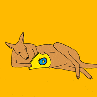 Animals-doing-human-things GIFs - Get the best GIF on GIPHY Animals-doing-human-things GIFs - Get the best GIF on GIPHY