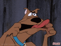 Silly-face GIFs - Get the best GIF on GIPHY Silly-face GIFs - Get the best GIF on GIPHY