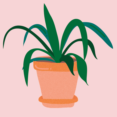 Plant Friend GIFs - Get the best GIF on GIPHY