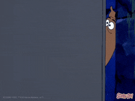Cartoon Wow GIF by Scooby-Doo