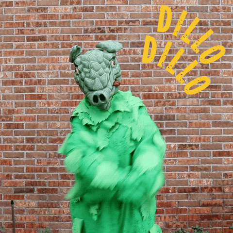 #Dillodillo GIF