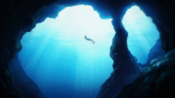 Merman Free! Ed GIF