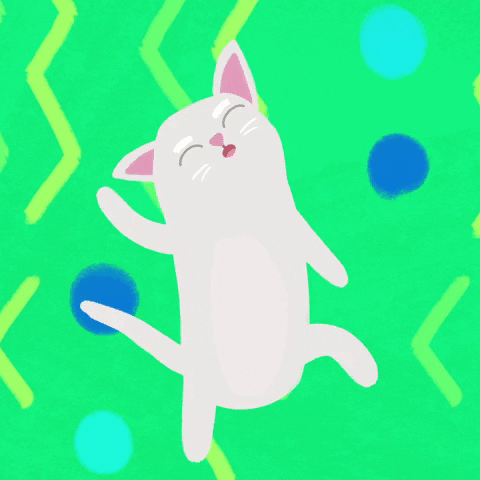 White Cat Dancing GIF by LooseKeys