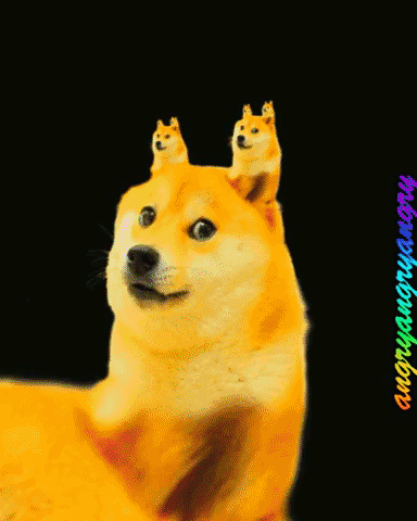 Sweg GIF