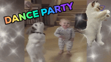 dance party dancing dog GIF by Lauren