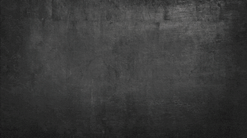 Veterans Day Mission22 GIF