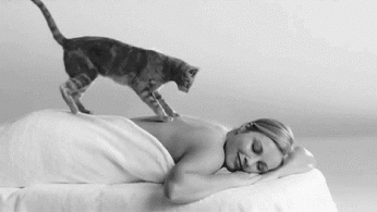 Fun GIF