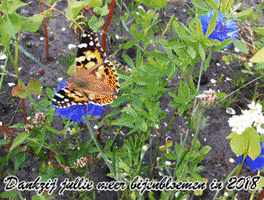 Bee Heroes Donateurs Bedankt 3 GIF