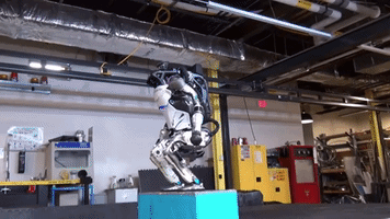 Animated GIF