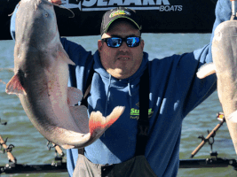 Blue Catfish Fishing GIF