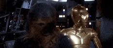 the empire strikes back chewie GIF by Star Wars