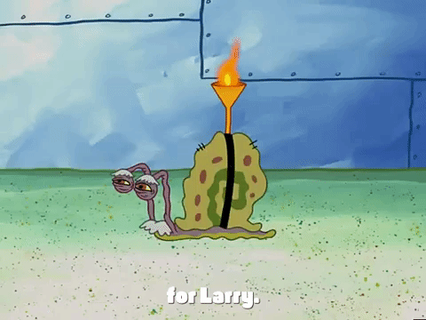 Season 3 The Great Snail Race GIF by SpongeBob SquarePants - Find ...