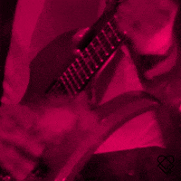 200.gif?cid=fc005b08a25041ff87ff51cf40ad0241488c2b1868e9b227&rid=200.gif&ct=g