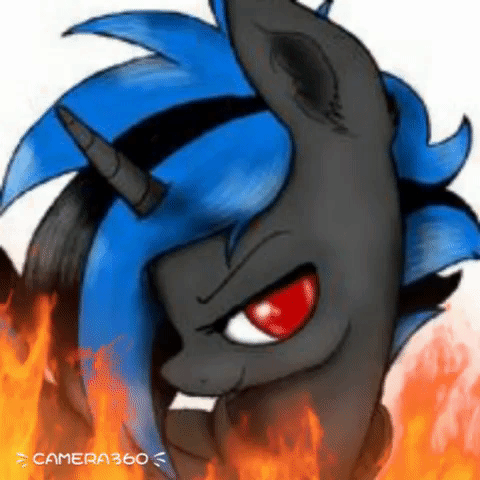 maddox  GIF
